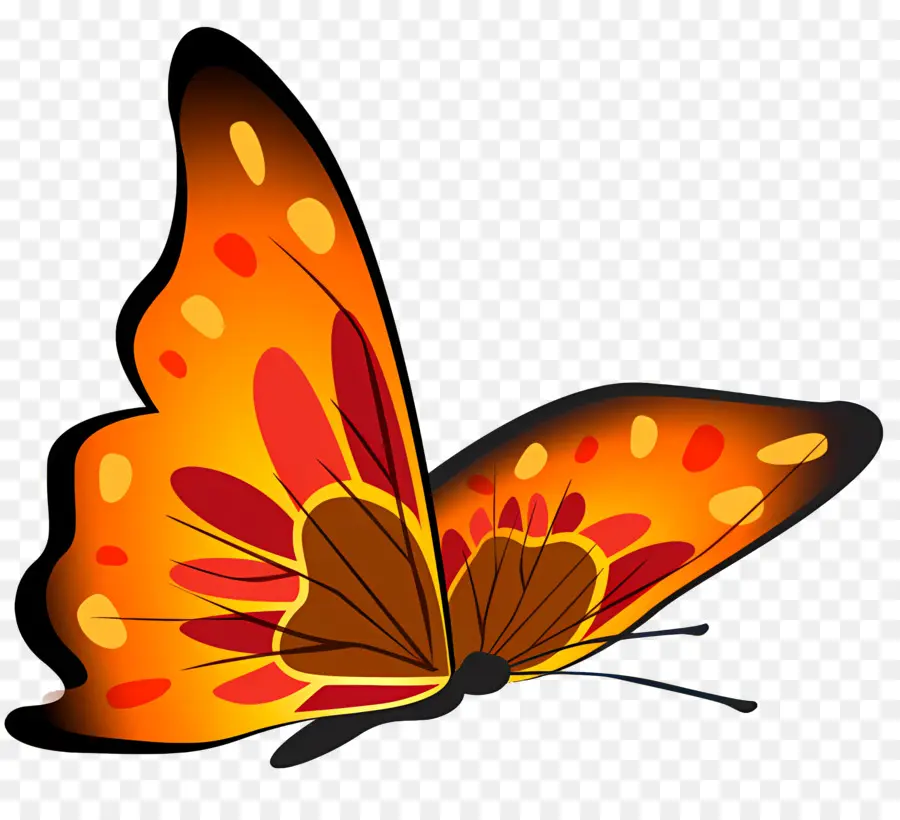 Les Papillons，Papillon PNG