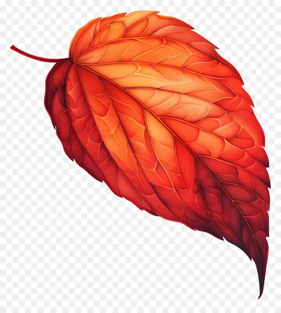 Feuille，Feuille Rouge PNG
