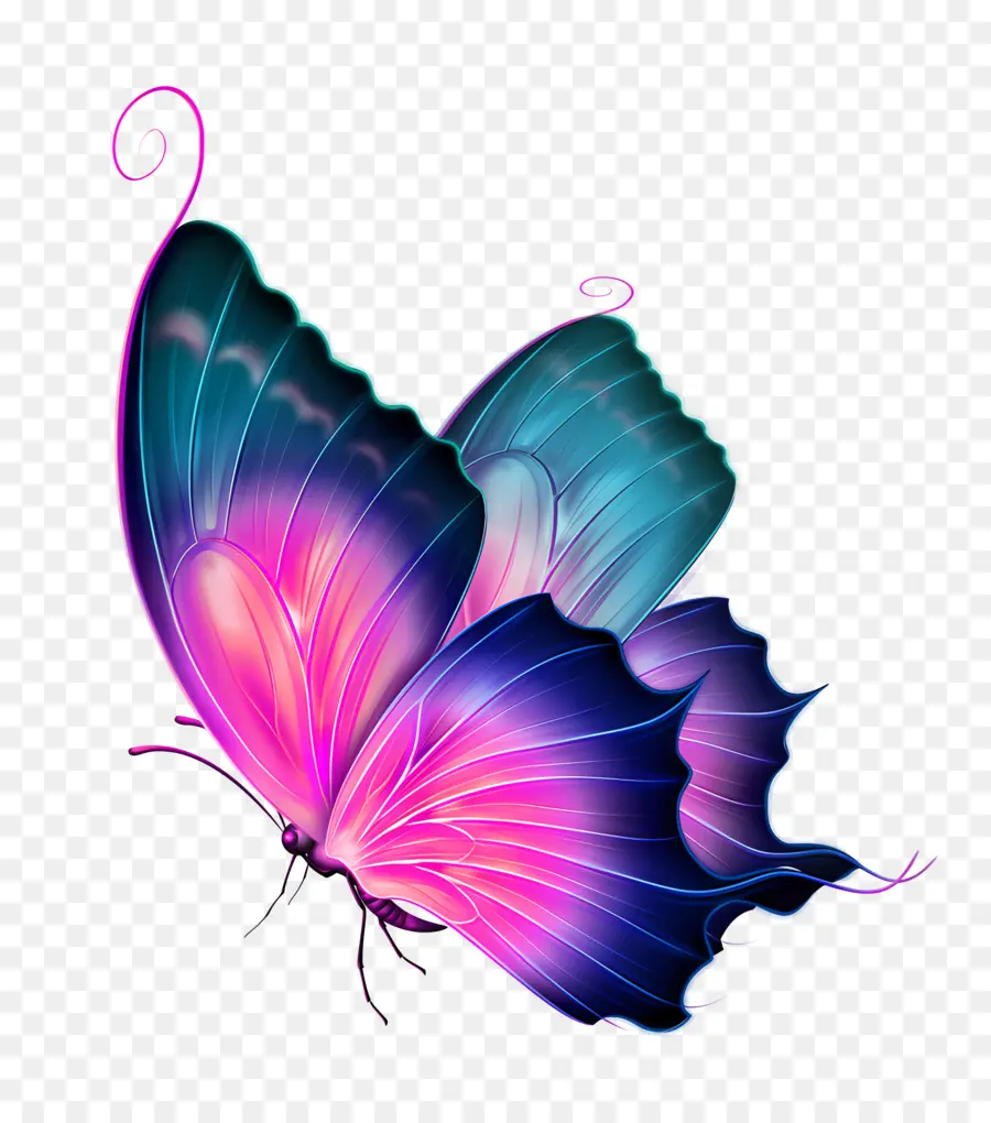 Les Papillons，Papillon PNG