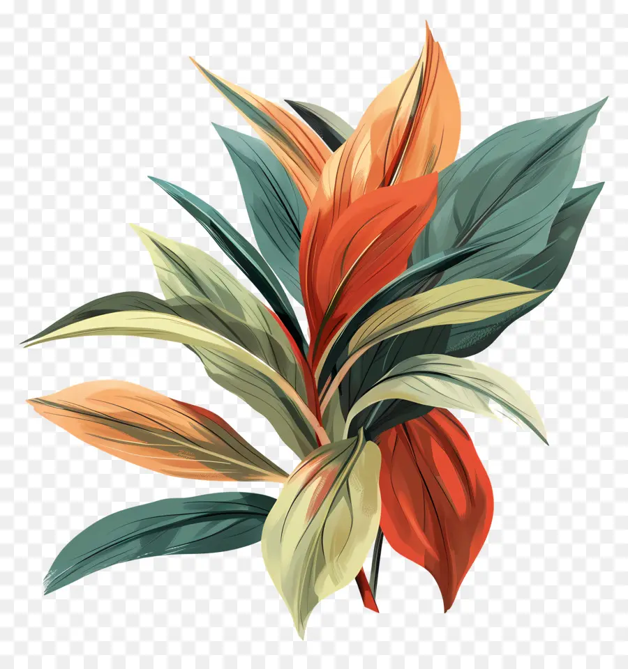 Feuillage，Fleur Colorée PNG