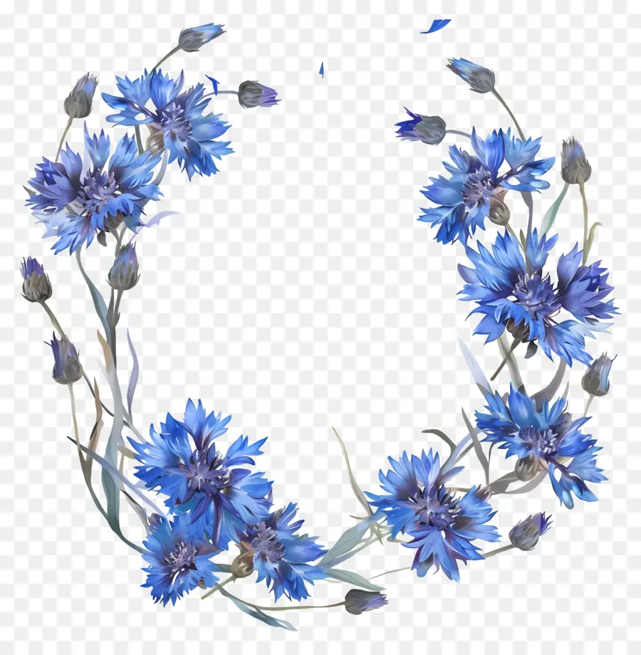 Cornflues Bleues，Bleu De Fleurs Sauvages PNG