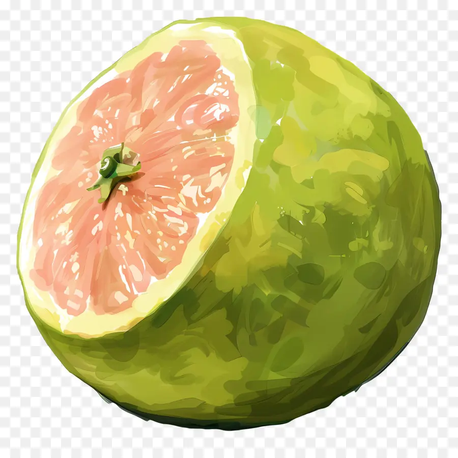 Pomelo，Pamplemousse PNG