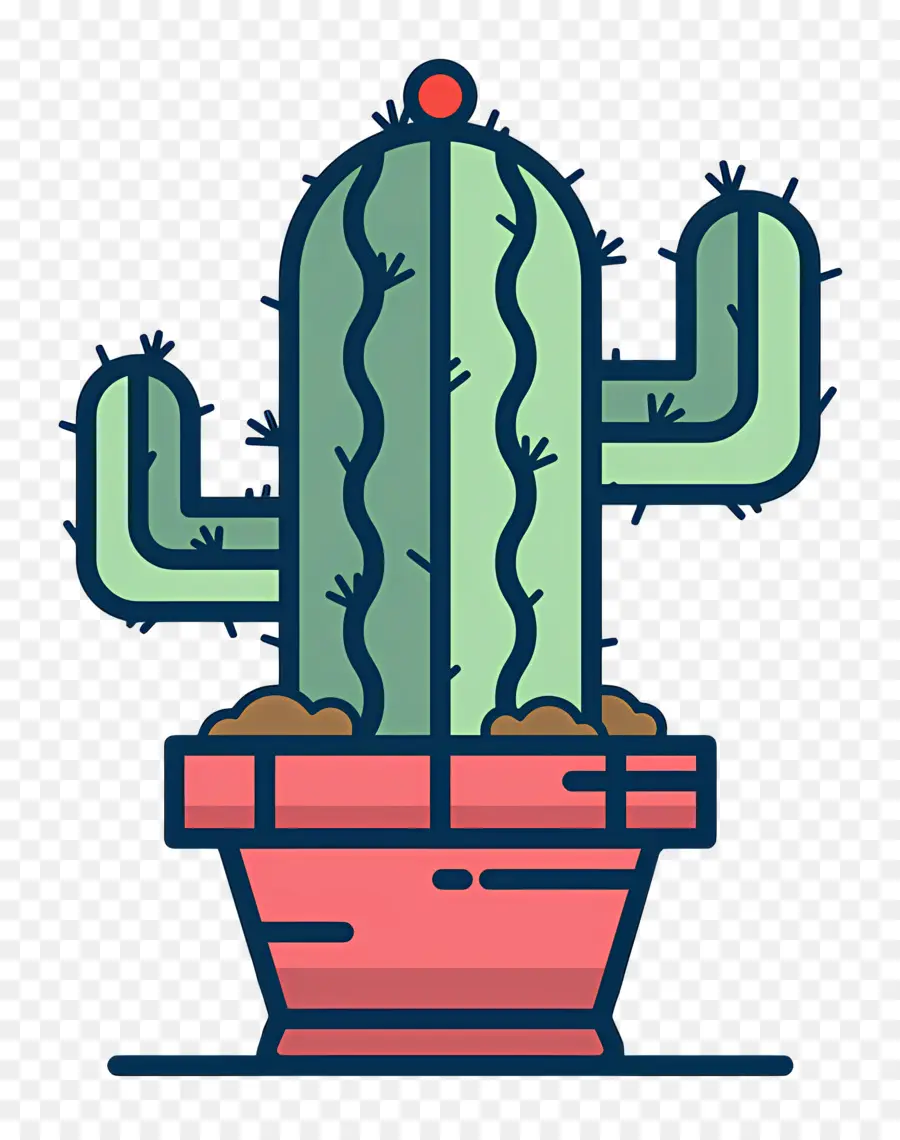 Cactus，Plante PNG