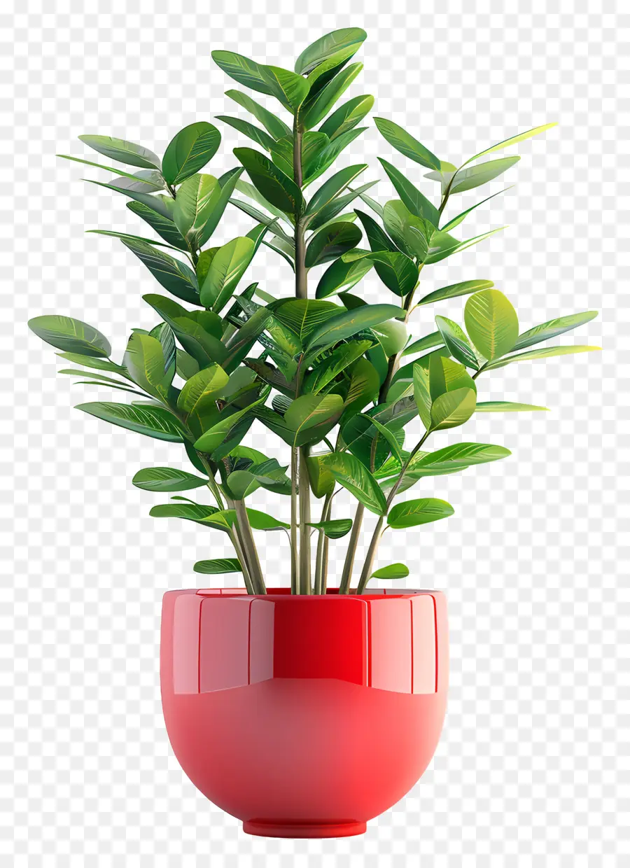 Plante Zz，Vase Rouge PNG