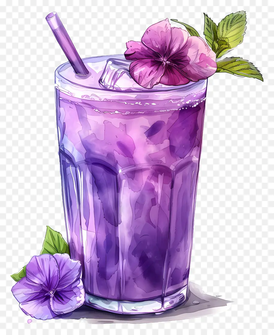 Boisson Solkadhi，Violet Boire PNG