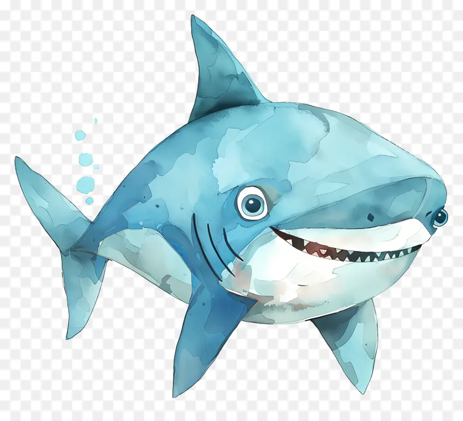 Requin，Dessin Animé PNG