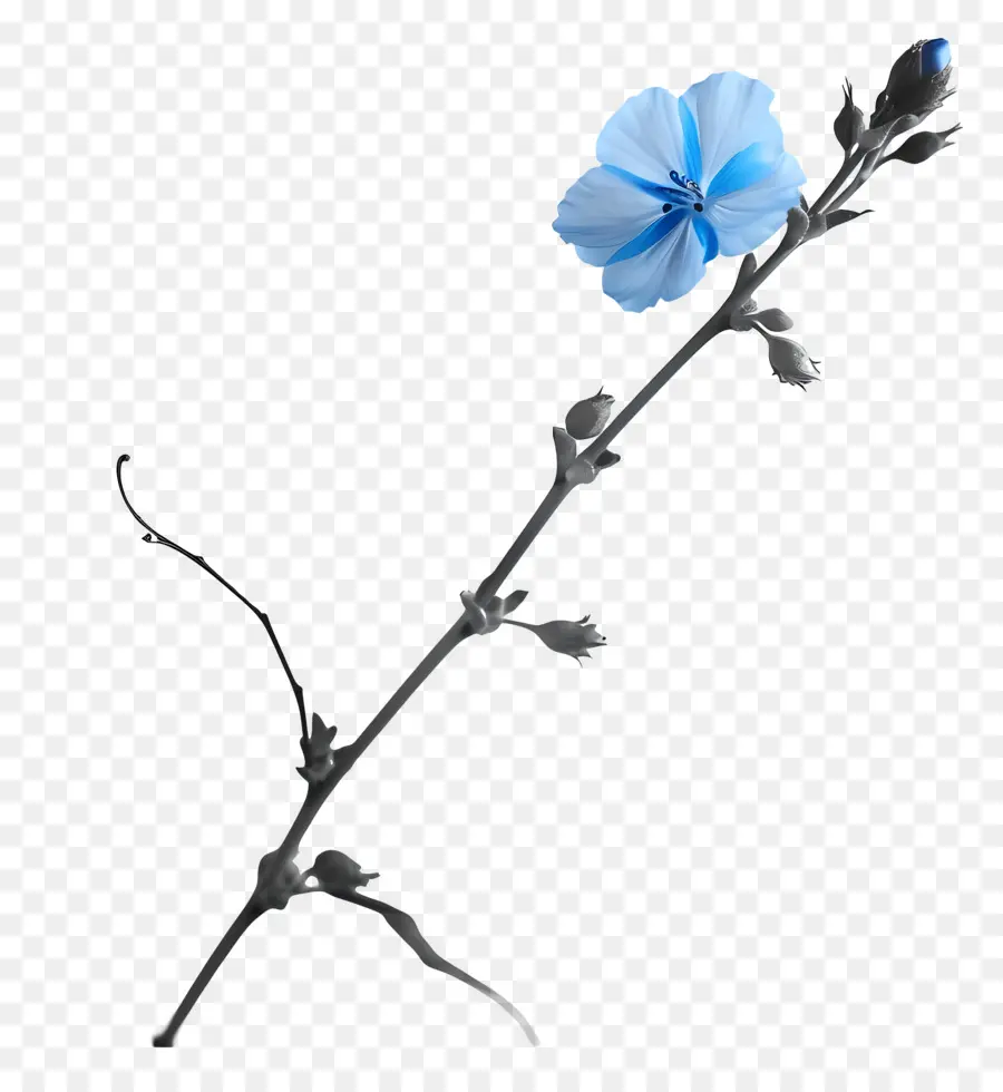 Fleur Bleue，Les Couleurs Vives PNG