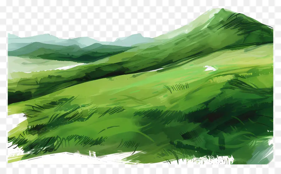 Highlands Verts，Le Vert Des Collines PNG