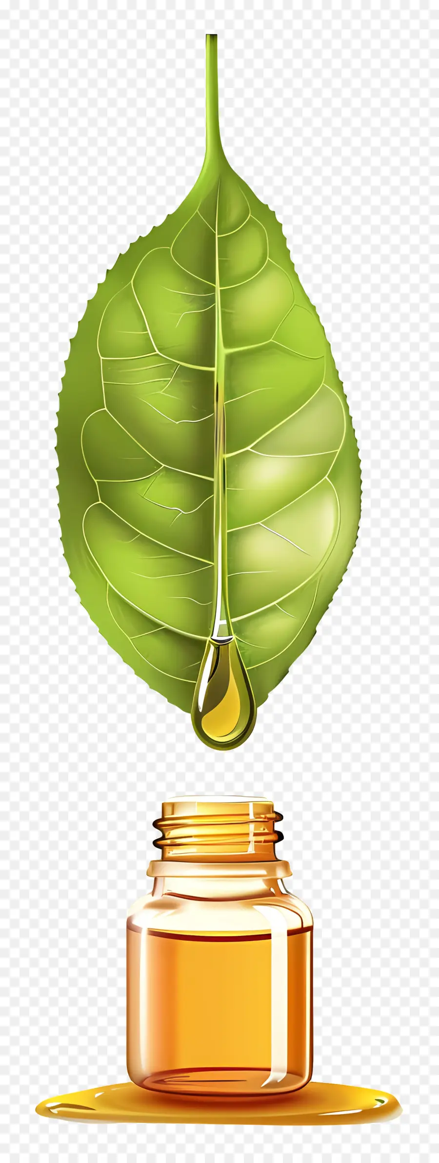 L'huile Essentielle De，Feuille Verte PNG