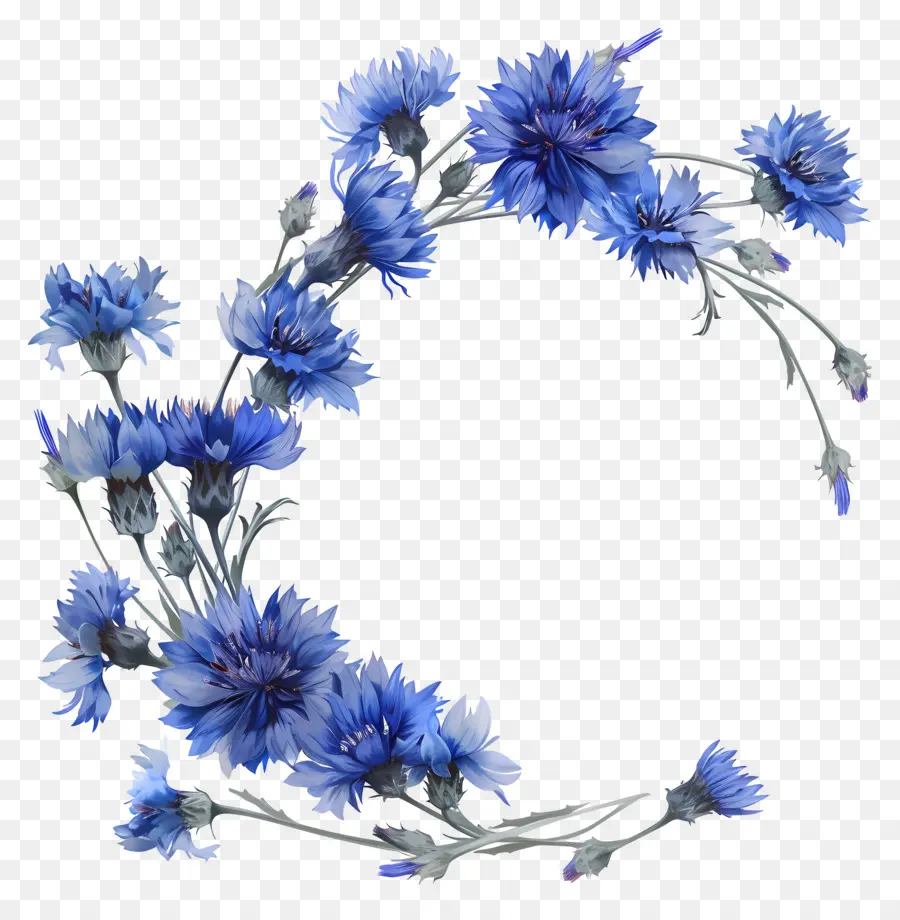 Cornflowers Bleus，Fleurs Bleues PNG