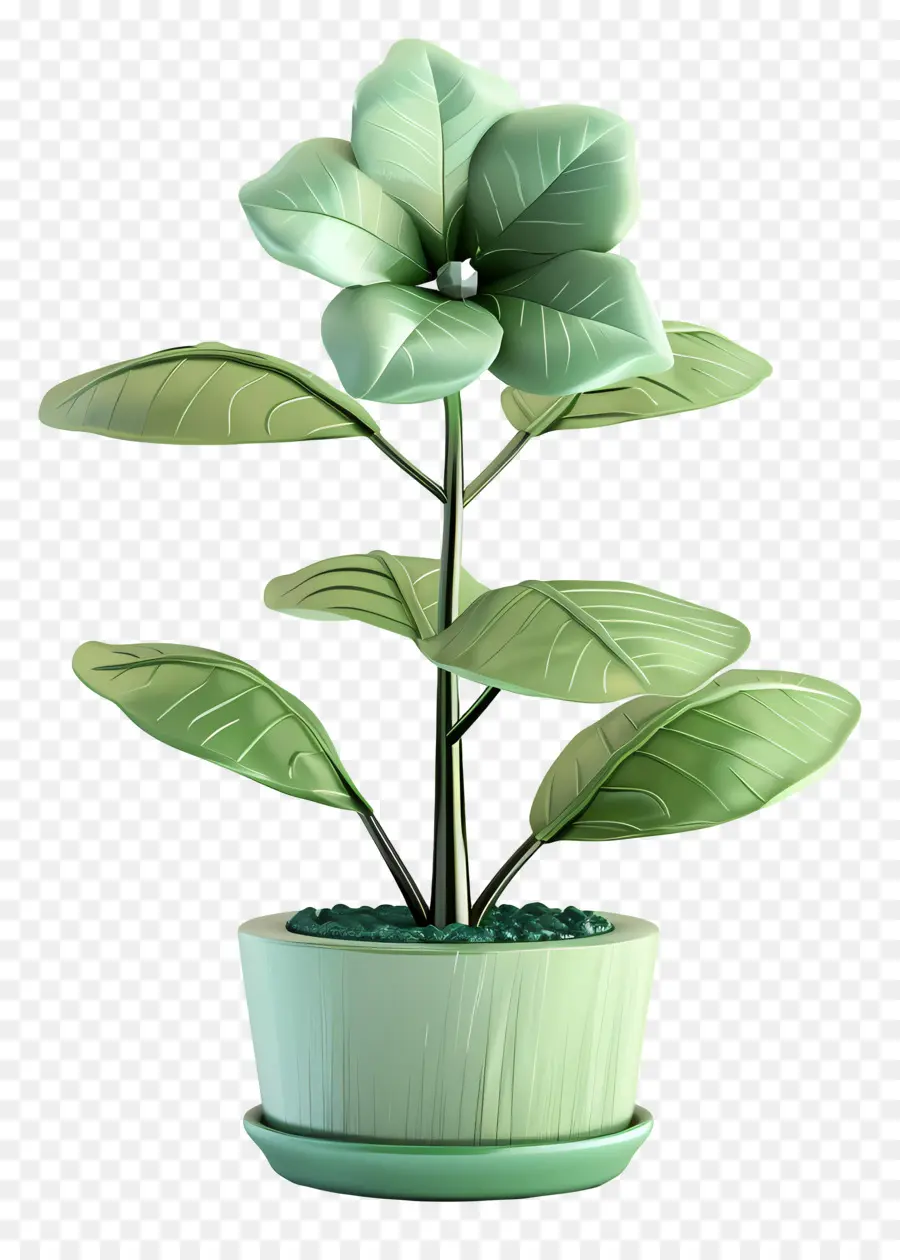Fleur De Jade En Pot，Deliciosa Monstera PNG