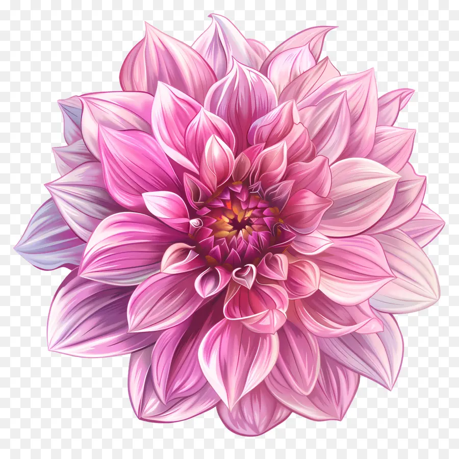 Fleur De Dahlia Rose，Fleur Rose PNG