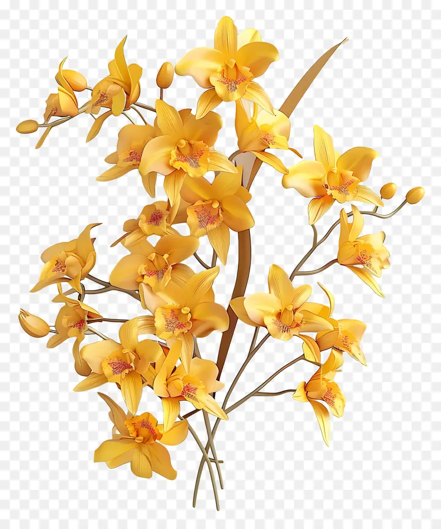 Orchidées Jaunes，Bouquet De Fleurs PNG