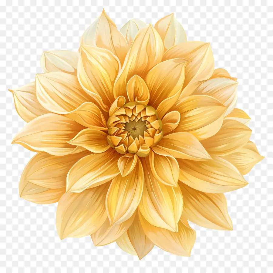 Fleur De Dahlia Jaune，Dahlia Dorée PNG
