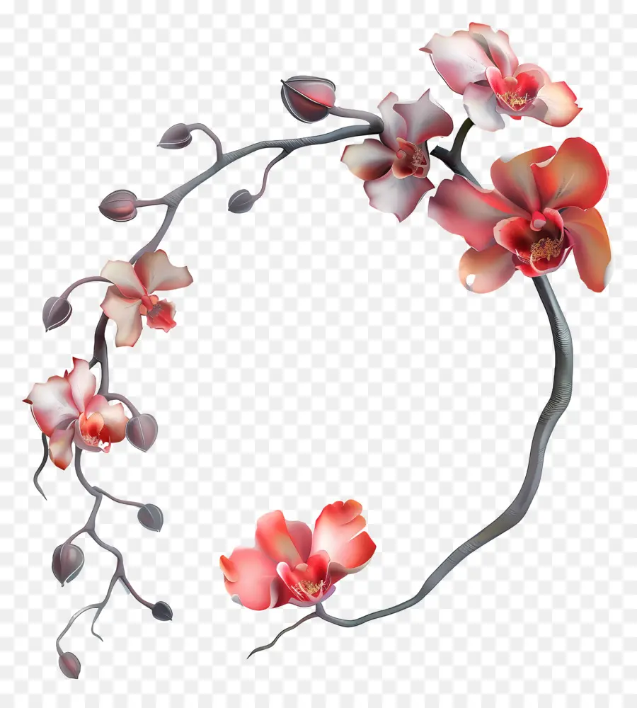 Les Orchidées，Fleur Branche PNG
