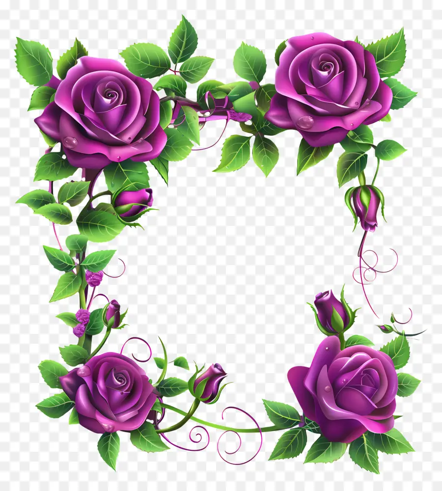 Fête Des Mères，Roses Violettes PNG