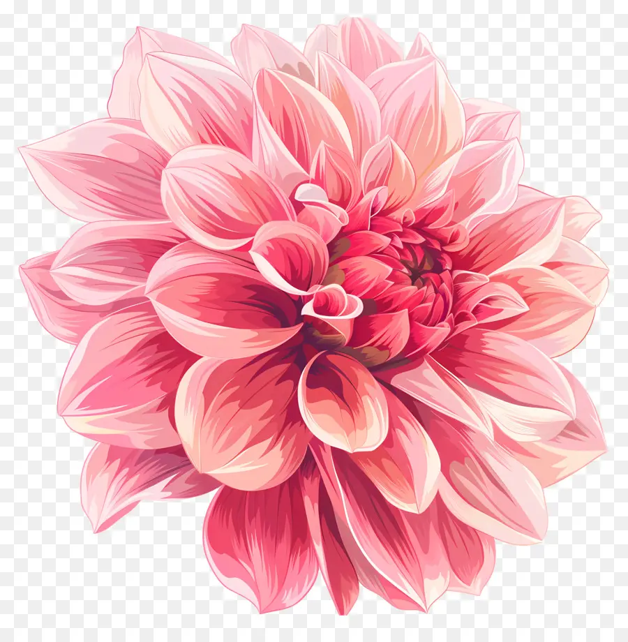 Fleur De Dahlia Rose，Fleur Rose PNG
