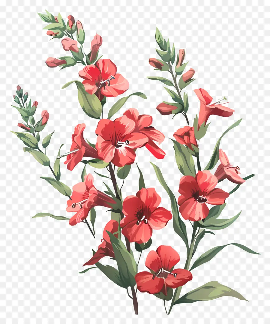 Fleurs De Snapdragons Rouges，Fleurs Rouges PNG