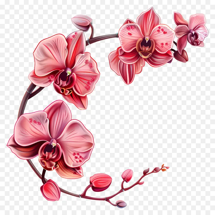 Orchidées，Fleurs PNG