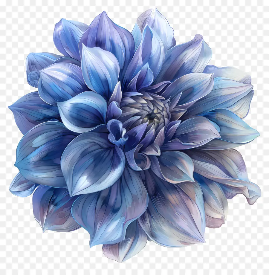 Fleur De Dahlia Bleue，Peinture Numérique PNG