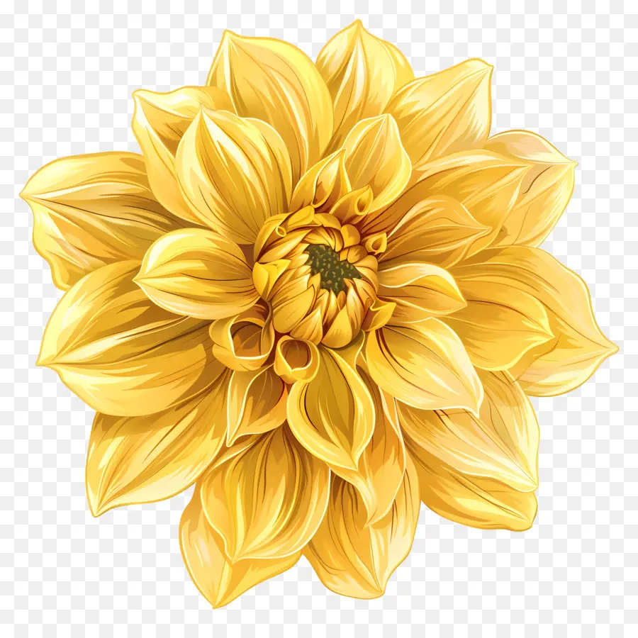 Fleur De Dahlia Jaune，Fleur Jaune PNG