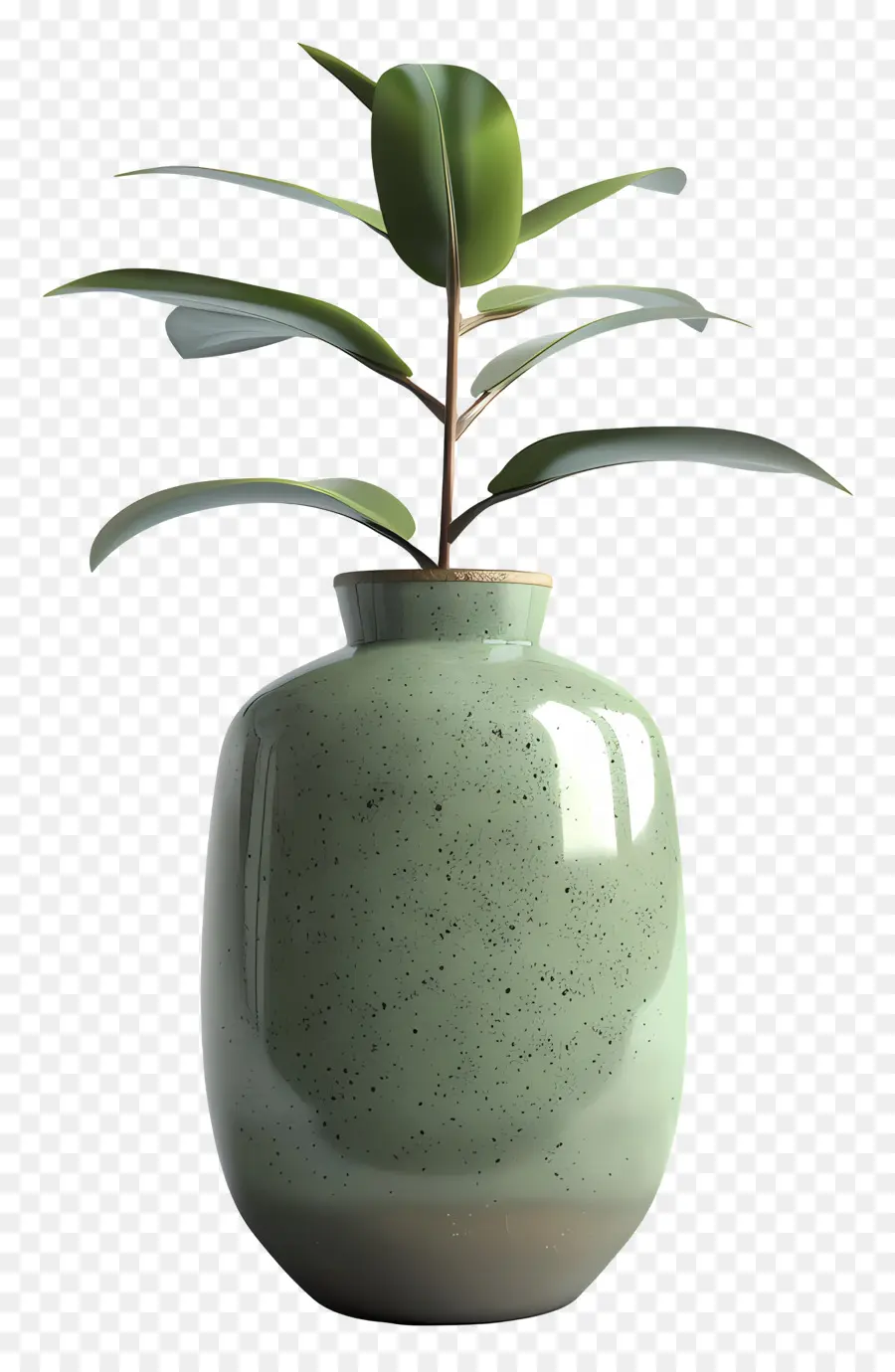 Vase En Céramique Cylindre，Les Plantes D'intérieur PNG