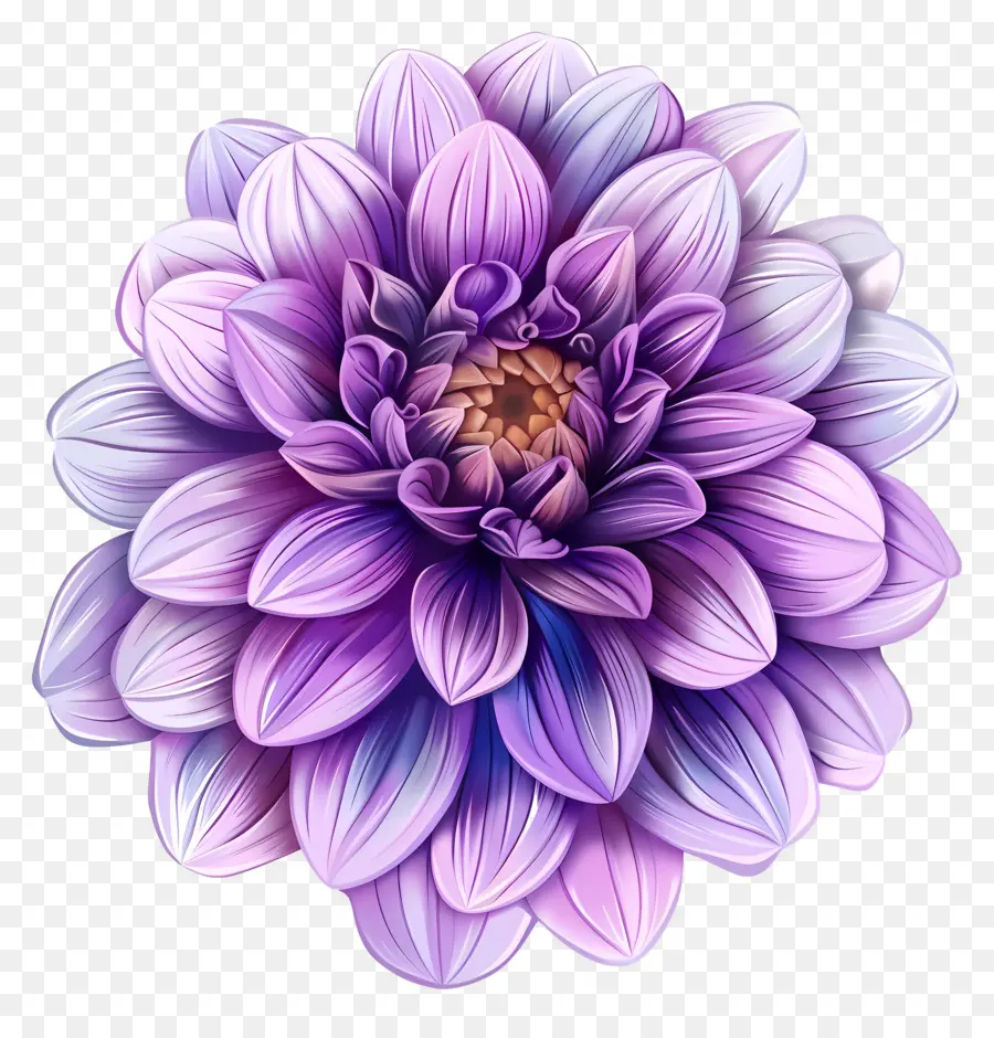 Fleur De Dahlia Violette，Rose Dahlia PNG