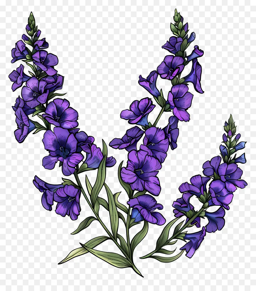 Fleurs De Snapdragons Violets，Fleur Pourpre PNG