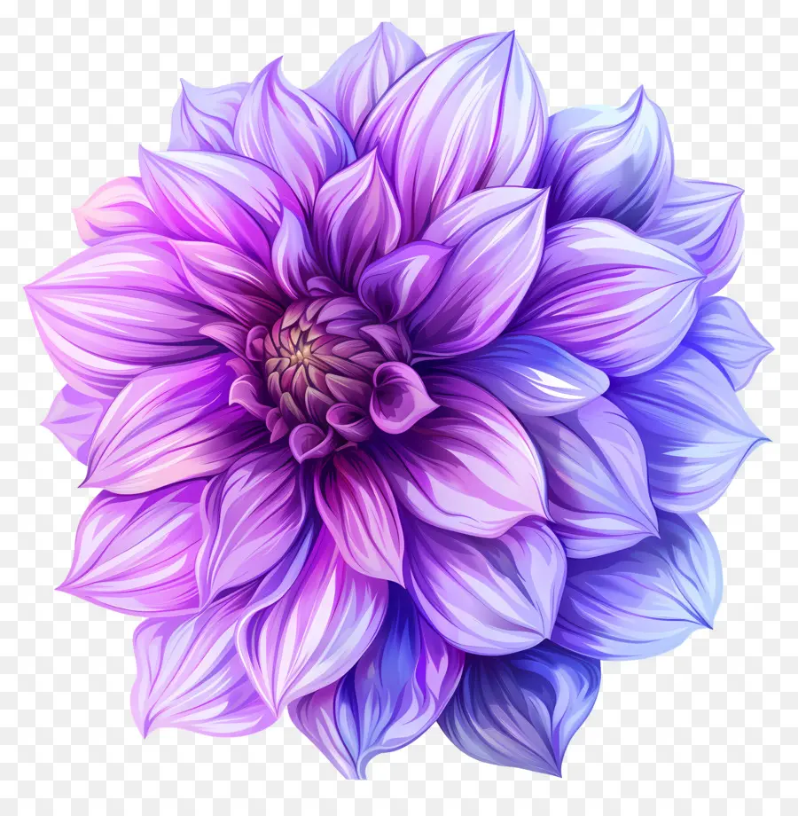 Fleur De Dahlia Violette，Dahlia Violet PNG