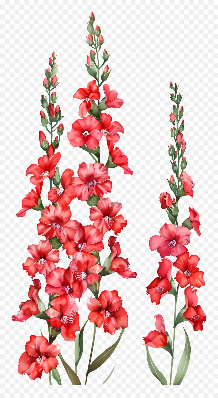 Fleurs De Snapdragons Rouges，Fleurs Rouges PNG