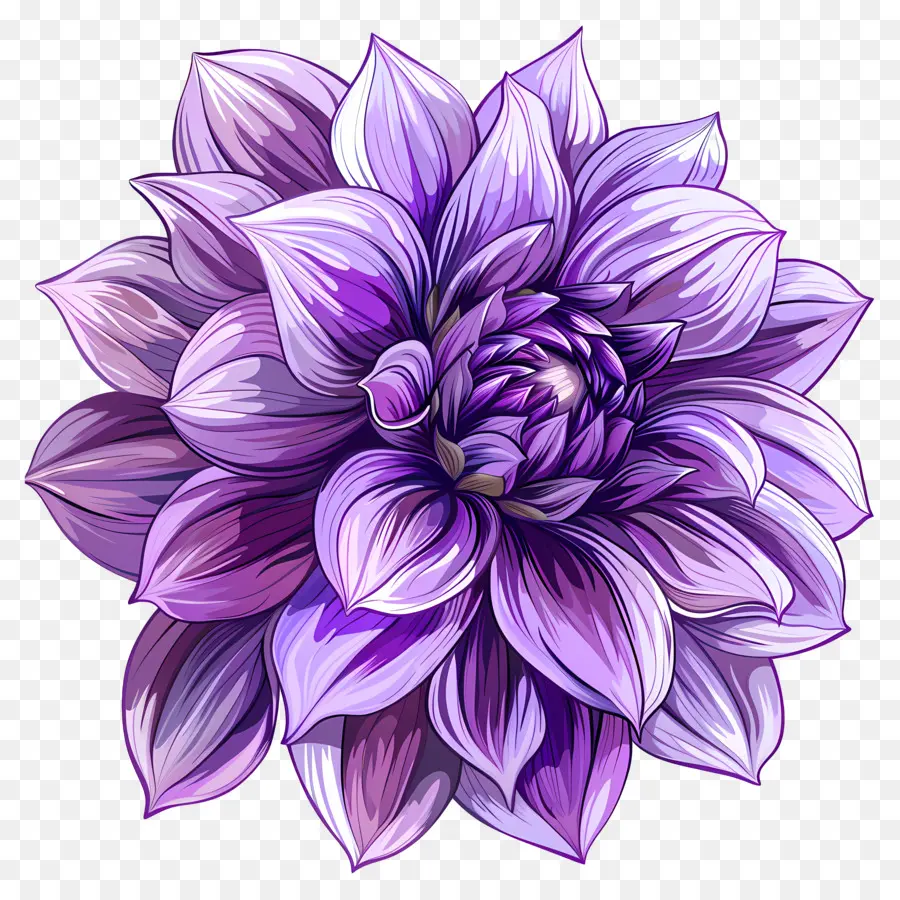 Fleur De Dahlia Violette，Fleur Pourpre PNG