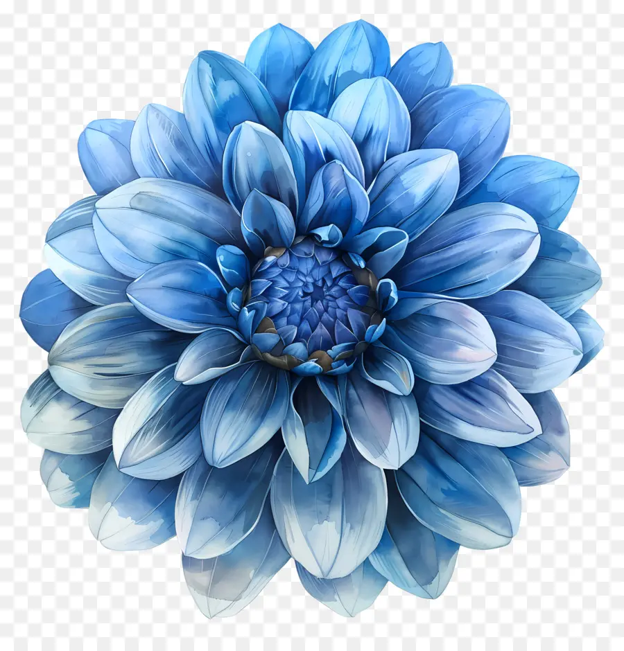 Fleur De Dahlia Bleue，Fleur Bleue PNG