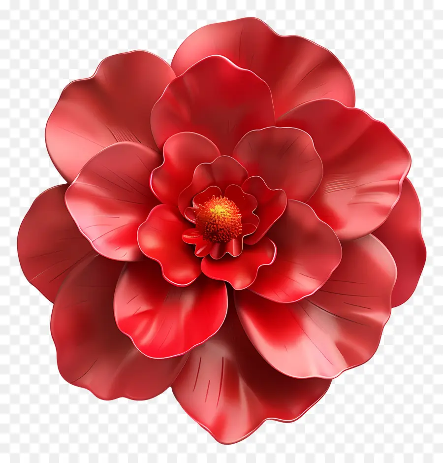 Bégonia Fleur，Fleur Rouge PNG