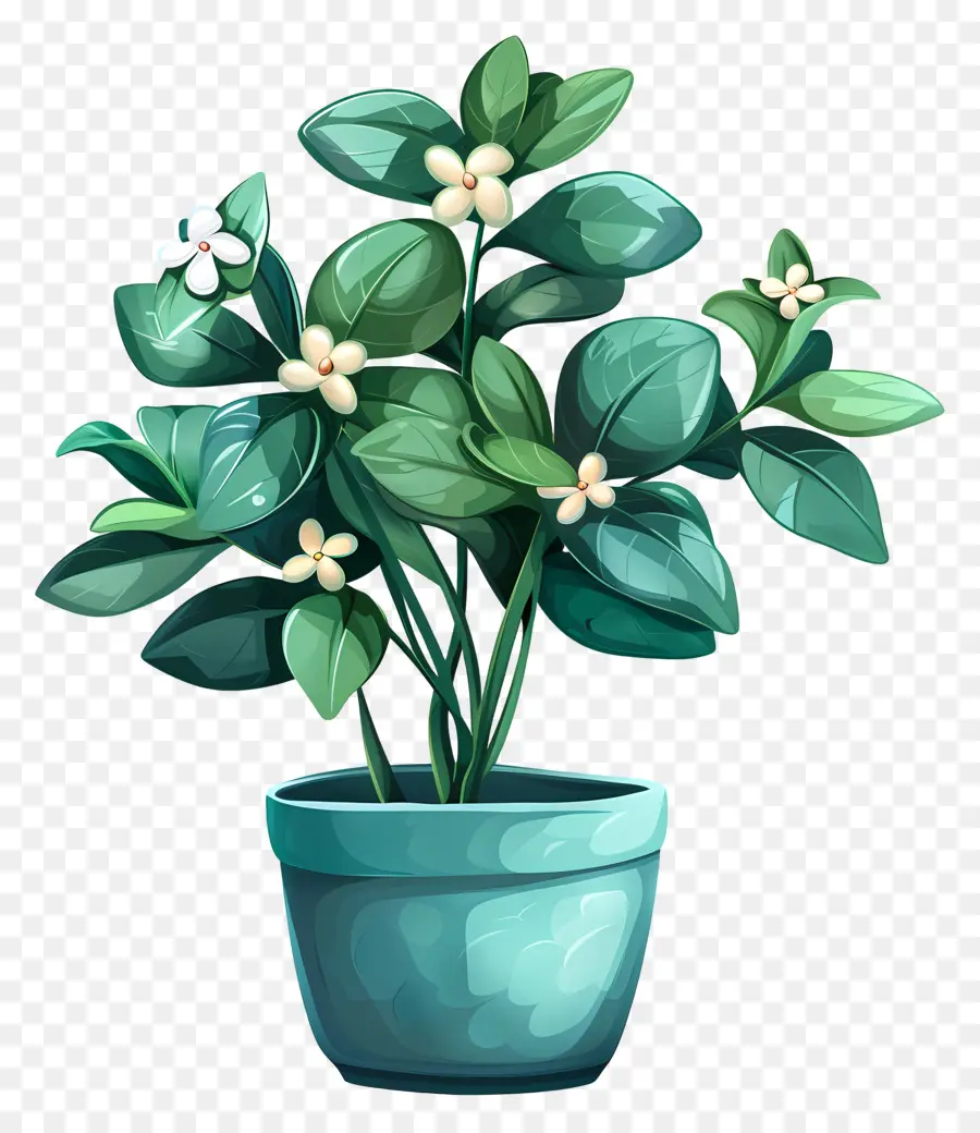 Fleur De Jade En Pot，Fleurs Blanches PNG