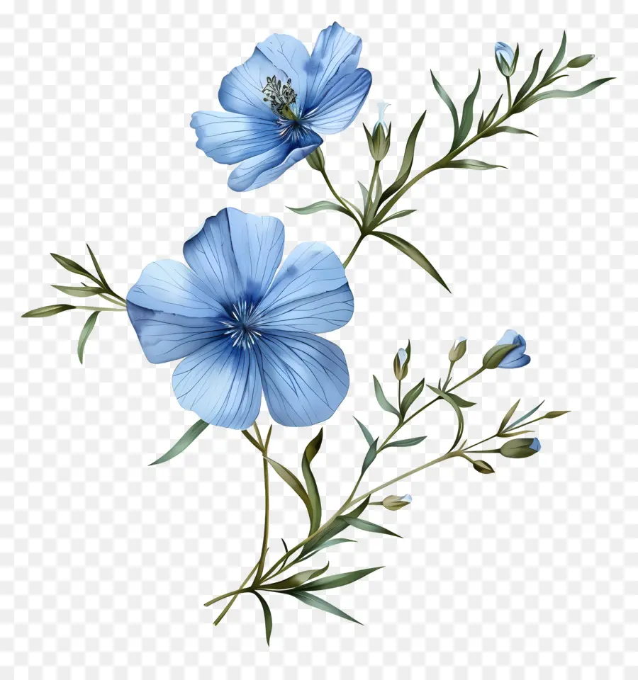 Lin Bleu Vivace，Fleur Bleue PNG