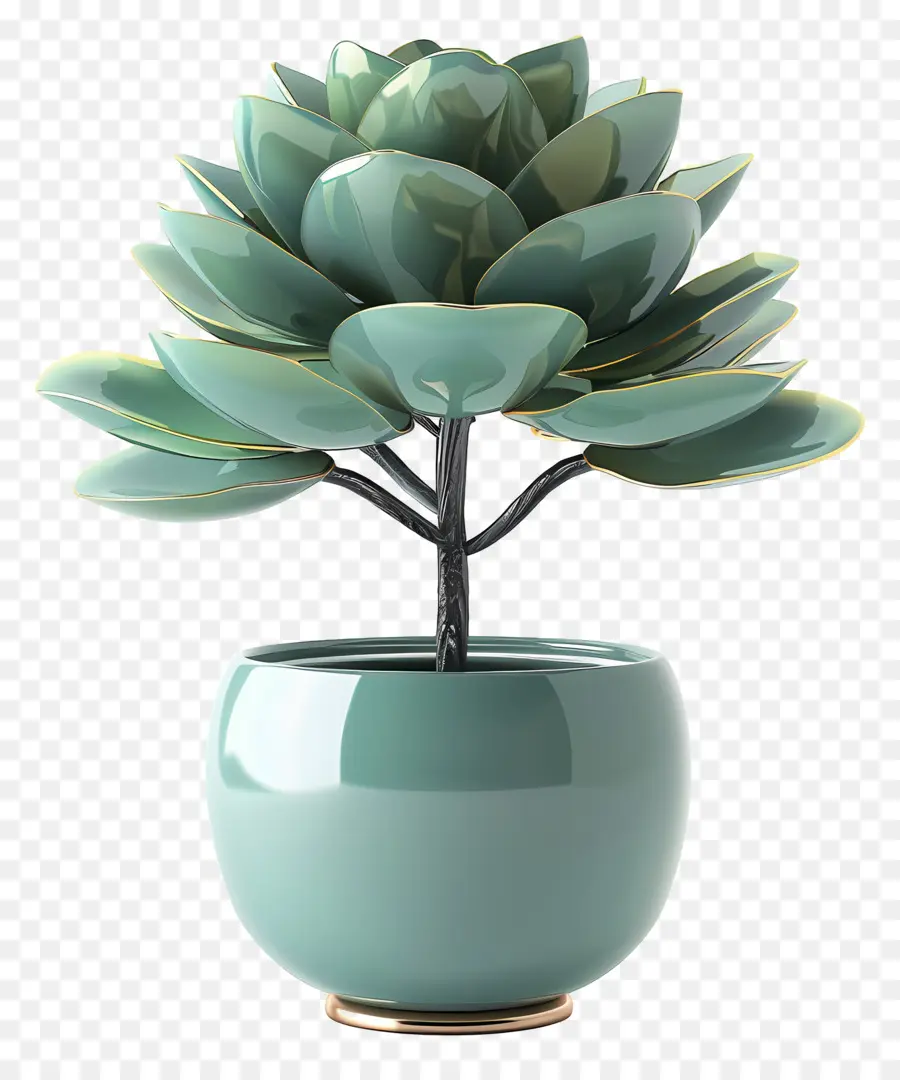 Fleur De Jade En Pot，Plante D'intérieur PNG