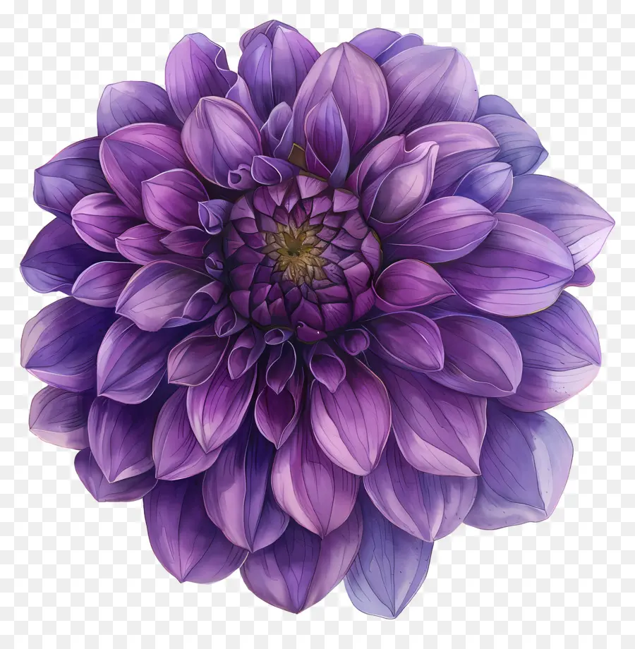 Fleur De Dahlia Violette，Pétales PNG