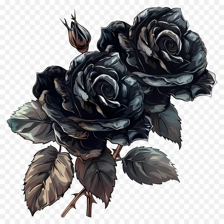 Roses Noires，Roses Gothiques PNG