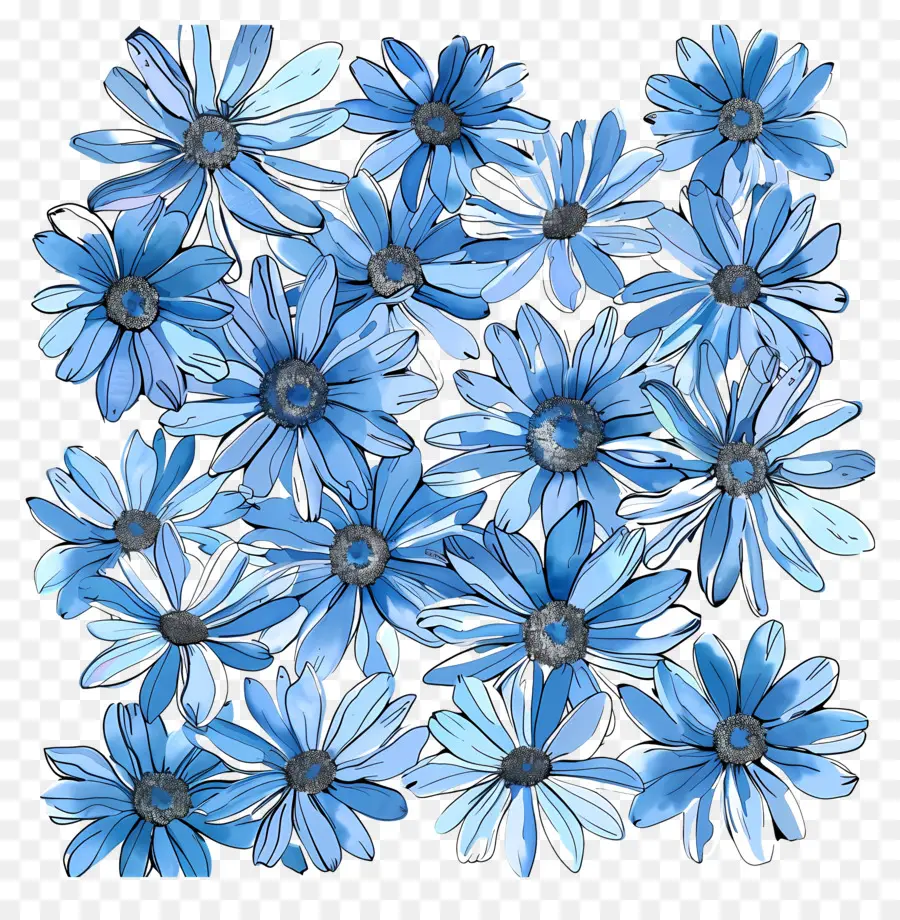 Marguerites Bleues，Fleurs Bleues PNG