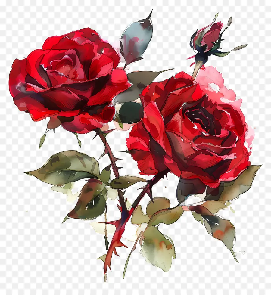 Roses Rouges，Les Roses Rouges PNG