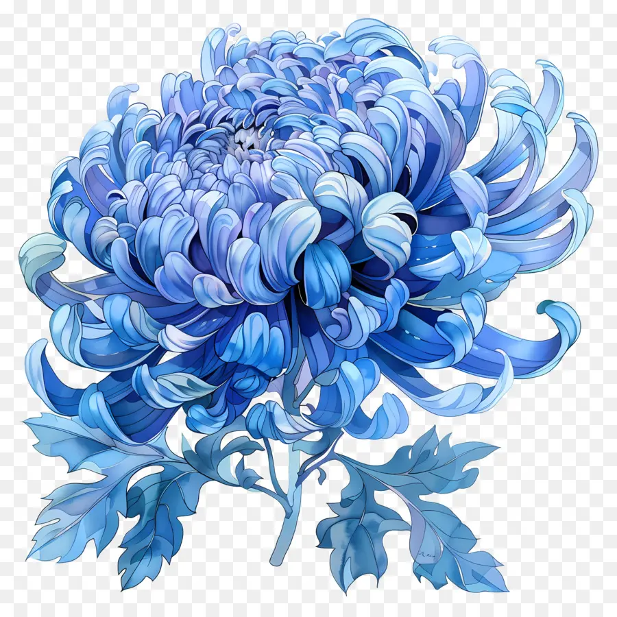 Bleu Chrysanthème，Fleur PNG