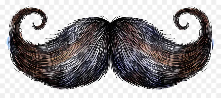 Moustache，Long PNG