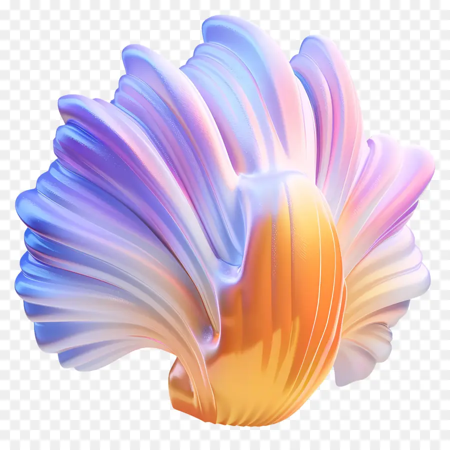 Coquille，Forme Abstraite PNG