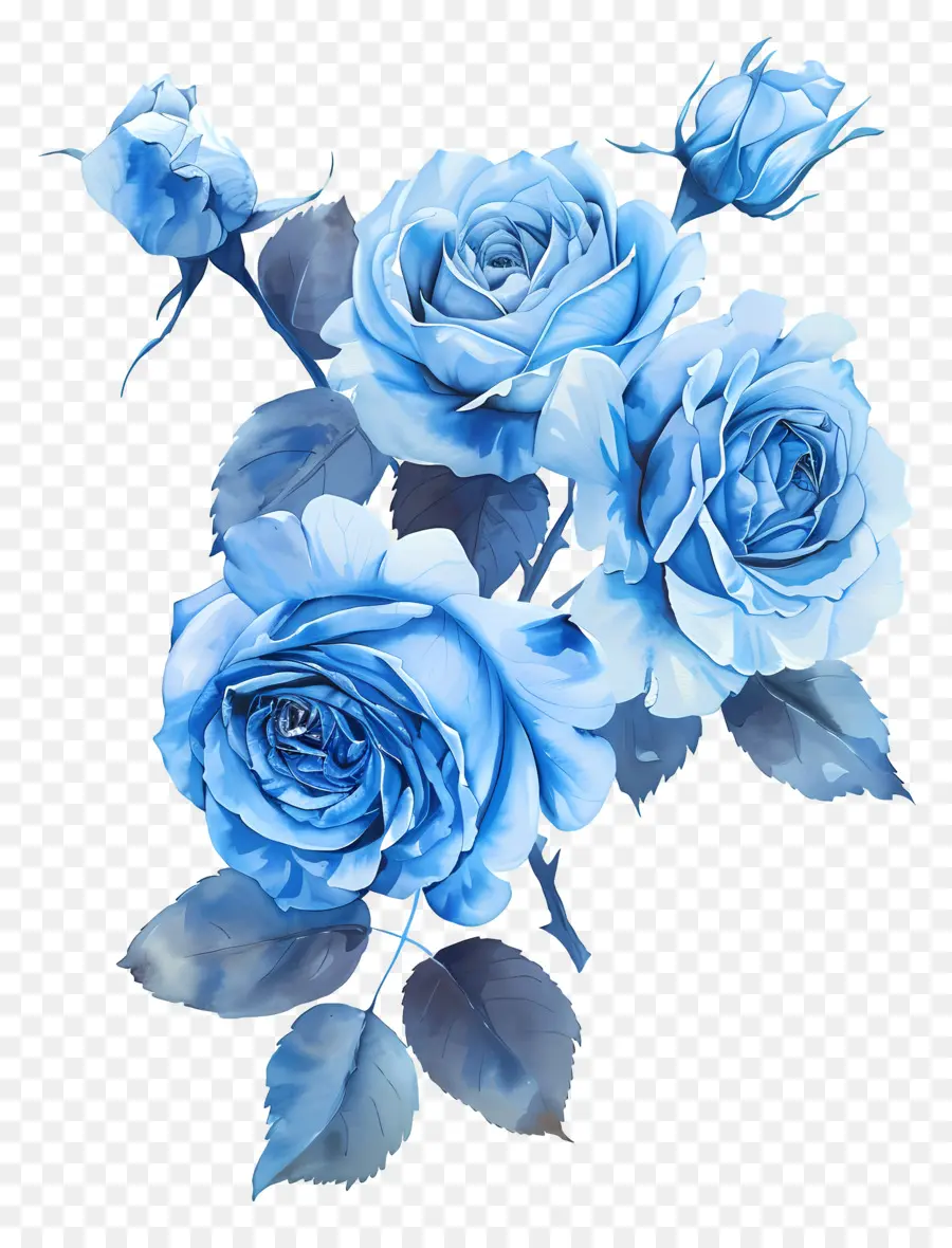 Roses Bleues，Arrangement De Fleurs PNG