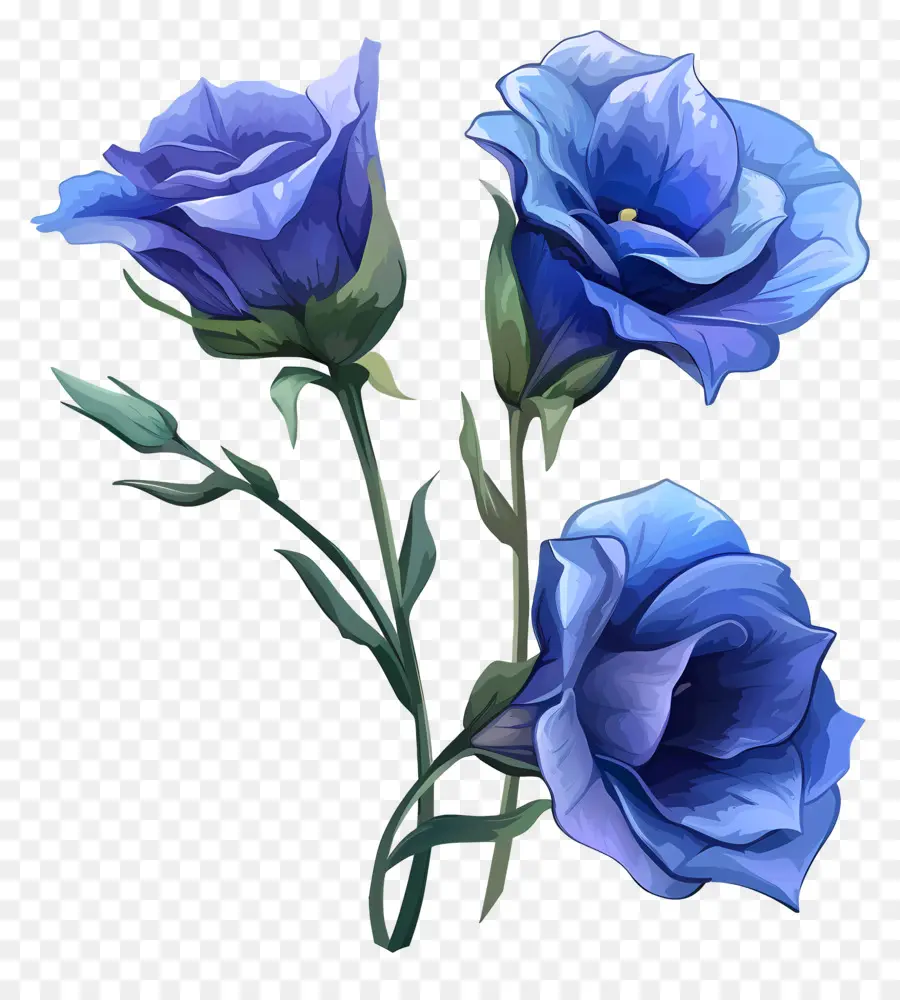 Fleur De Lisianthus Bleu，Fleurs Bleues PNG