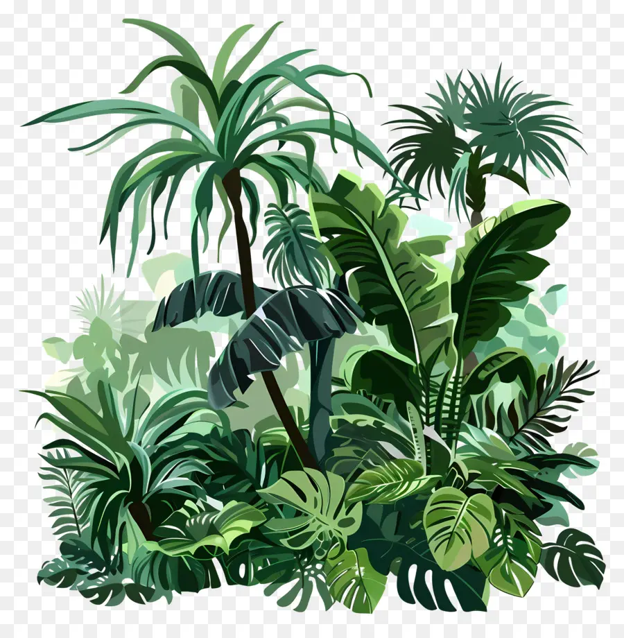 Forêt Tropicale De La Jungle，Jungle Exotique PNG