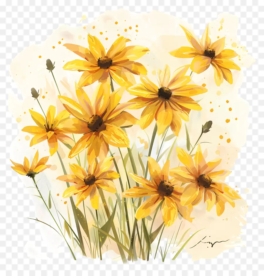 Marguerites Jaunes，Fleurs Jaunes PNG