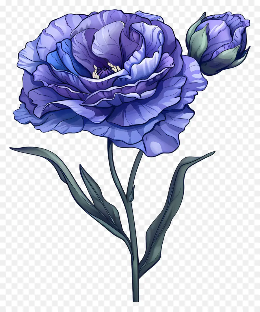 Fleur De Lisianthus Bleue，Fleur Violette PNG