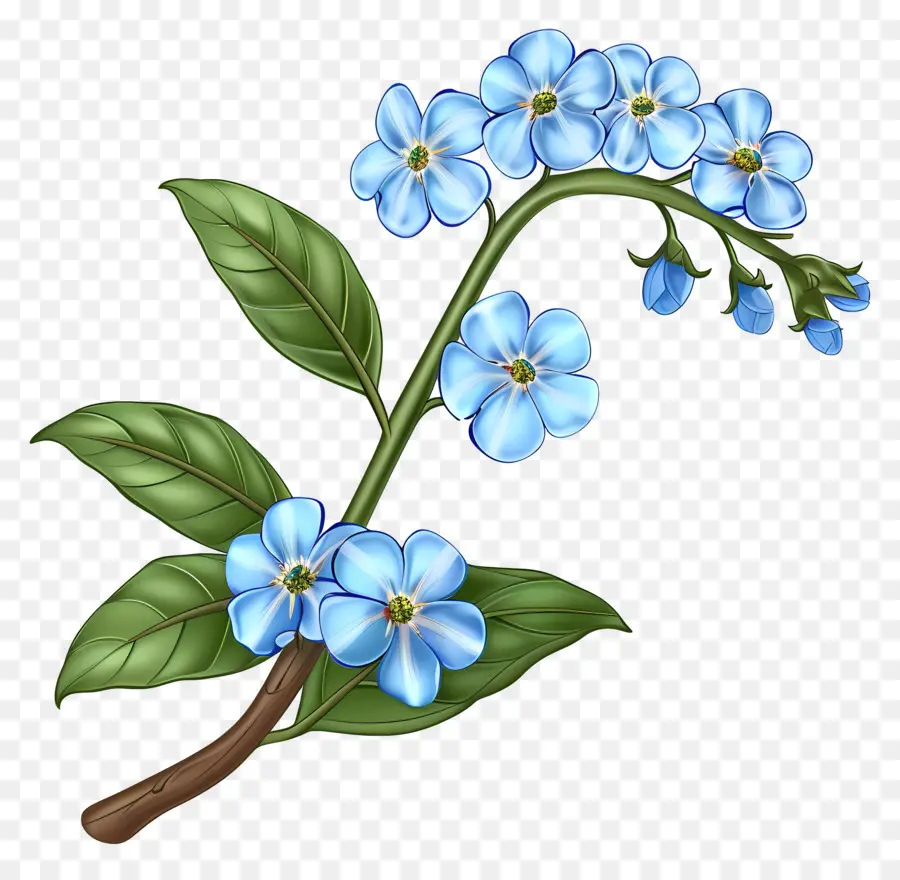 M'oublie Pas De Fleurs，Fleurs Bleues PNG