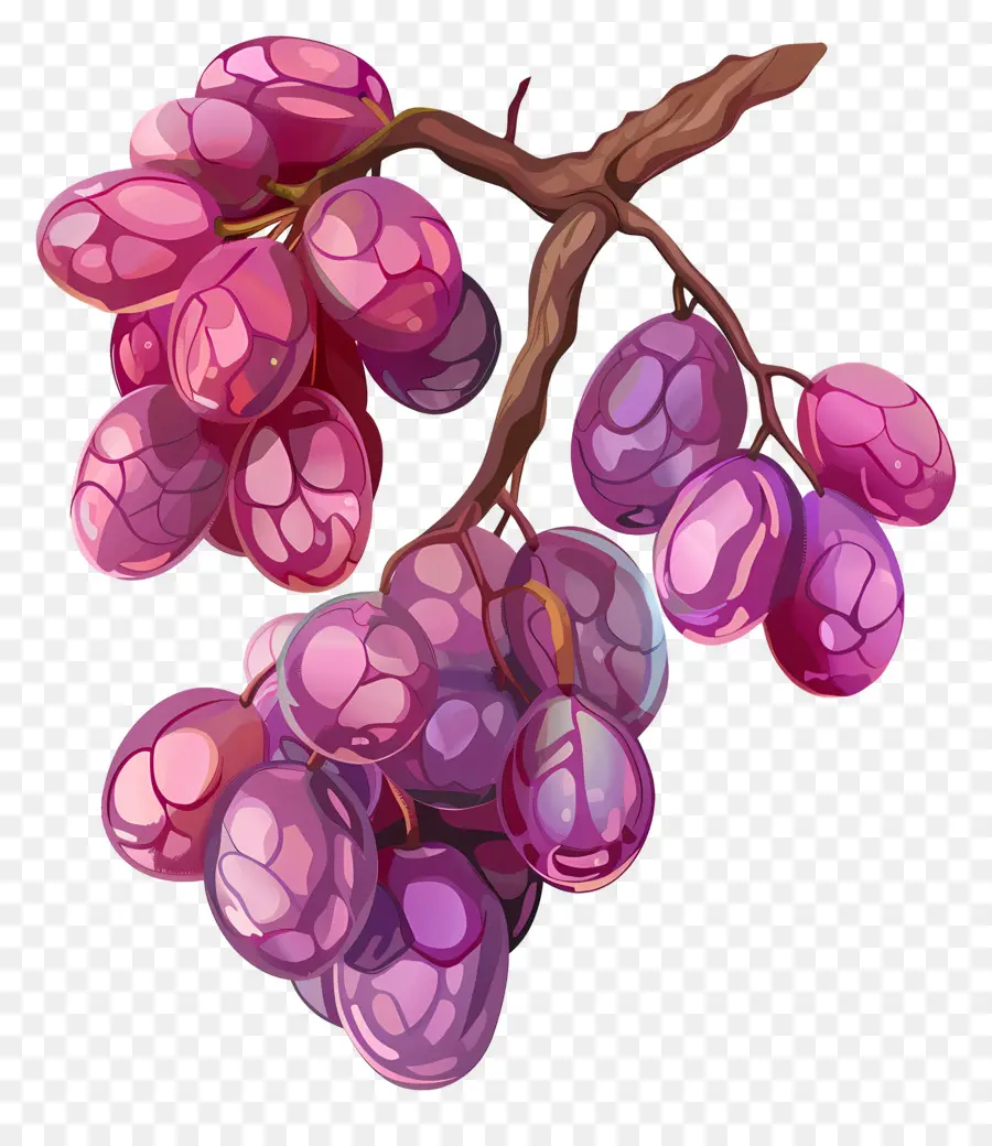 Fruit，Grappe De Raisin PNG